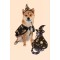 Halloween Pet Graphic Wizard Hat and Cloak Costume Set Halloween Pet Graphic Wizard Hat and Cloak Costume Set