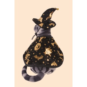 Halloween Pet Graphic Wizard Hat and Cloak Costume Set Halloween Pet Graphic Wizard Hat and Cloak Costume Set