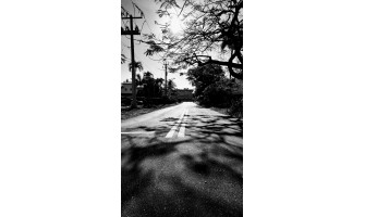 A Family Heirloom Someday