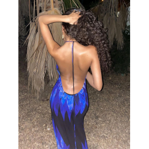Sheer Blue Hibiscus Backless Halter Maxi Beach Dress Sheer Blue Hibiscus Backless Halter Maxi Beach Dress