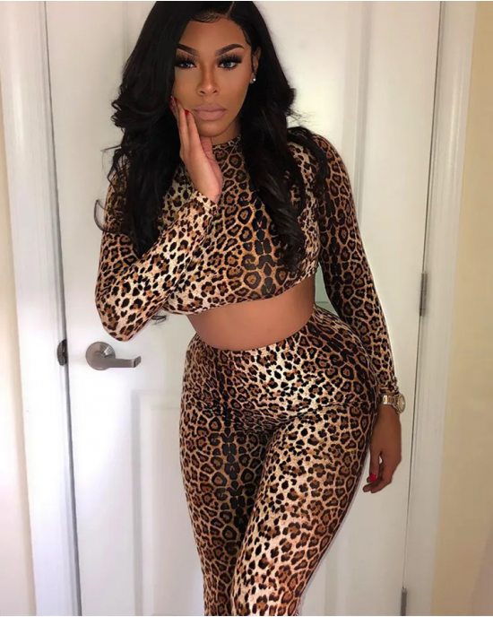 Leopard Long Sleeve Crop Top High Waisted Pants Set