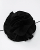 The Little Black Dress The Little Black Dress
