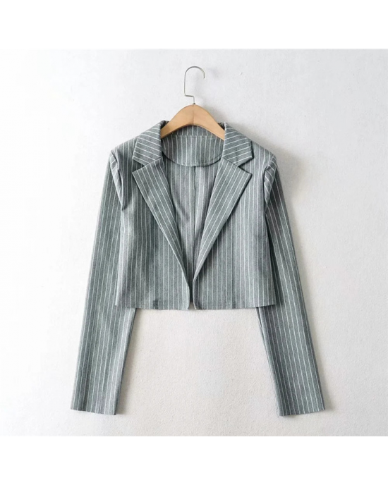 Pin Striped Suit Cropped Blazer Pin Striped Suit Cropped Blazer