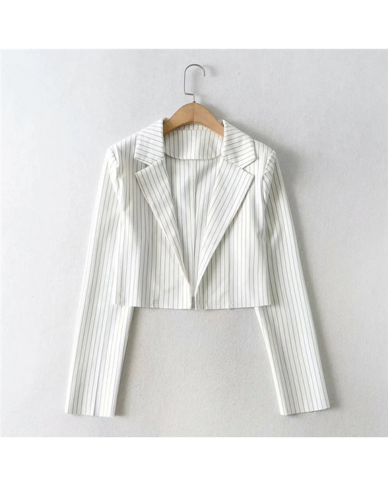 Pin Striped Suit Cropped Blazer Pin Striped Suit Cropped Blazer