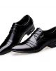 Office & Career Dress Shoes 