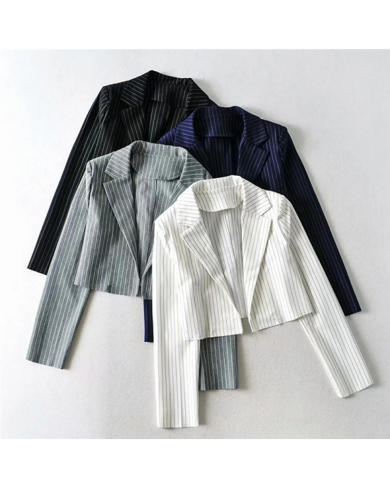 Pin Striped Suit Cropped Blazer Pin Striped Suit Cropped Blazer