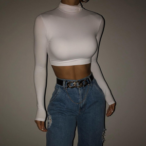 Turtleneck Long Sleeve Crop Top Turtleneck Long Sleeve Crop Top