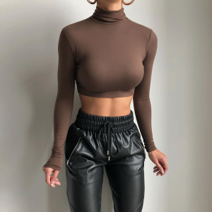 Turtleneck Long Sleeve Crop Top Turtleneck Long Sleeve Crop Top